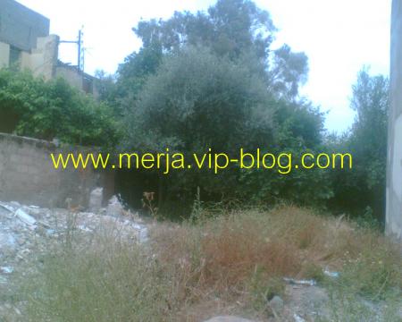 www.merja.vip-blog.com
